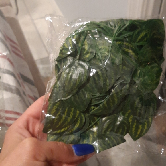 Green vine. - Picture 2 of 3